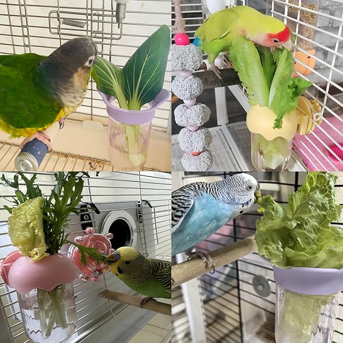 7 PCS Bird Cage Feeder for Vegetable Millet Holder Cage Accessories with Parrot Fruit Forks for Budgie Cockatiel Lovebirds Parrot (Purple)