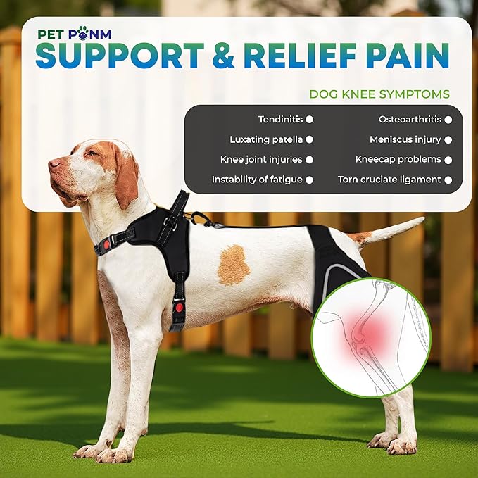 Dog ACL Knee Brace for Back Left Leg - with Integrated Harness - for Cruciate Ligament Injuries, Patellar Luxation, Post-Surgery Recovery. Durable, Breathable Material, Eases Pain - (Large)