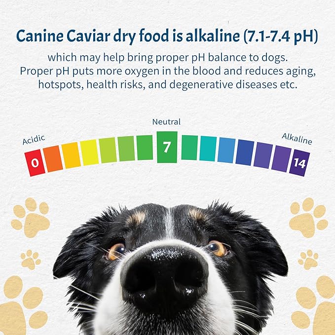 Canine Caviar - Open Meadow: Lamb & Pearl Millet Alkaline Dry Dog Food, Limited Ingredients, Gluten-Free, Based on Science & Research, Veterinary Alternative Diet (4.4 Pound Bag)