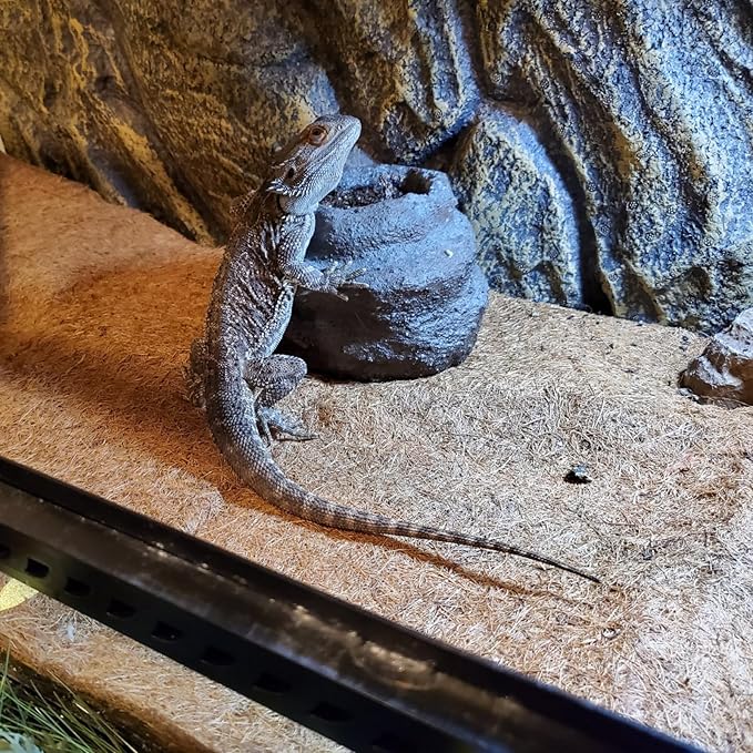 PINVNBY 2 Pcs Reptile Carpet Coconut Fiber Mat,Lizard Terrarium Substrate Liner Gecko Tank Flooring Bearded Dragon Tank Accessories Bedding for Snakes Chameleons Tortoises