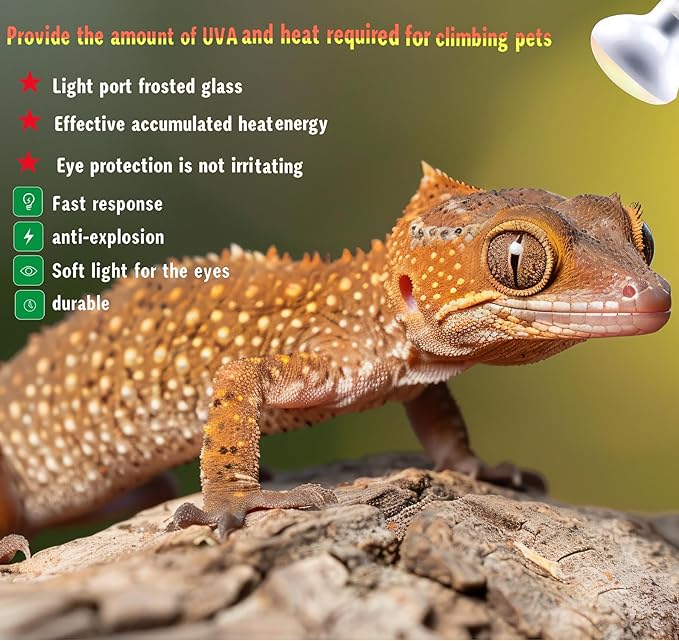 Reptile Heat Lamp Used in Reptiles 75W 100W Heat Lamp Bulbs for Reptiles 2 Pack Amphibians Basking Heat Lamp Bulbs UVA Daylight Basking Light (75Watts)