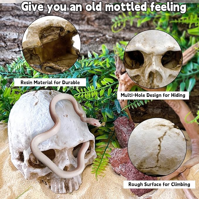 Tfwadmx Human and Crocodile Skull Decor, Snake Hide, Tarantula Enclosure Accessories, Resin Skull Reptile Terrarium Tank Decor for Geckos, Lizards, Spiders
