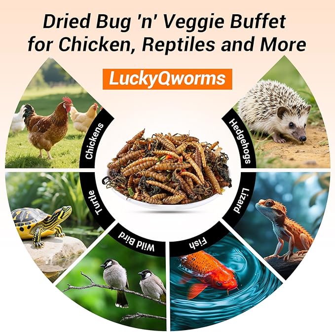Worm & Garden Blend - Premium Treat for Chickens, Birds, Ducks, Reptiles & Hedgehogs - High Protein Feed with Dried Mealworms, BSFL, Veggies - 1 Lbs Resealable Bag Bug 'n' Veggie Buffet