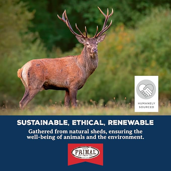 Primal Antlers for Dogs, Grade A Split Stag Antlers for Large Canines 45-60 lb, Natural Chews for Aggressive Chewers, Naturally Shed, Long Lasting Dog Bones, 1 ct