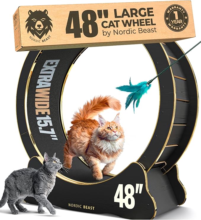Gold 48'' XL Cat Wheel – Safe, Quiet & Stable Exercise Wheel for Large Indoor Cats up to 45 lbs – 15.7'' Extra-Wide Surface Fits 2 Cats Side by Side & Prevents Wobbling, 1-Year Warranty