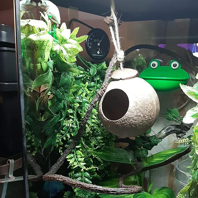 4 PCS Crested Gecko Coconut Hide Natural Lizard Coco Hut Reptile Hanging Nest Flexible Vine Habitat Decoration Bearded Dragon Terrarium Accessories for Tortoise Chameleon Snake Spider