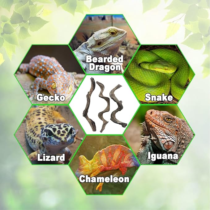 Reptile Decor Natural Forest Branch Terrarium Habitat Decoration Lizard Climbing Tree Branch for Bearded Dragon Gecko Snake Frog Chameleon Spider 3PCS