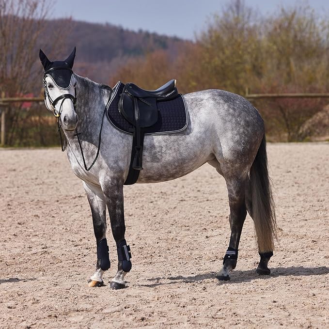 HORZE Adepto Open Front Tendon Boots | Durable Shell with Neoprene Lining - Dark Navy - Pony