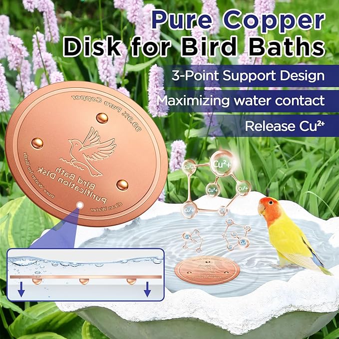 Bird Bath Copper Disk, Copper Disk for Bird Bath Cleaning, A Universal Purification Fit for Outdoor Bird Baths