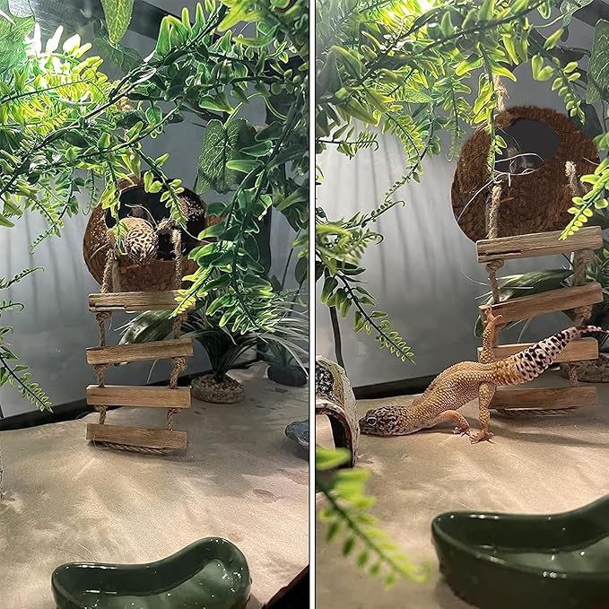 6PCS Crested Gecko Coconut Hut, Lizard Coco Den with Ladder and Reptile Hammock Bearded Dragon Tank Accessories Climbing Hanging Plants Jungle Vine Flexible Reptile Leaves Decor