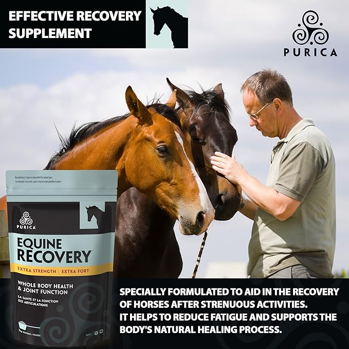 PURICA Equine Hyaluronic Acid - Horse Joint Support Supplement with Glucosamine, MSM Powder, Betaine, Magnesium, Vitamin C and E - Green Tea and Grape Seed Extract - Horse Supplies and Treats