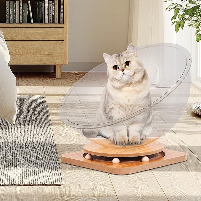 Doppy Space Capsule Cat Bed, Indoor Small Pets Kitten Sleeping Nest Pet Supplies Transparent Round Kitten House Activity Centre Bed Toy (Clear, L)