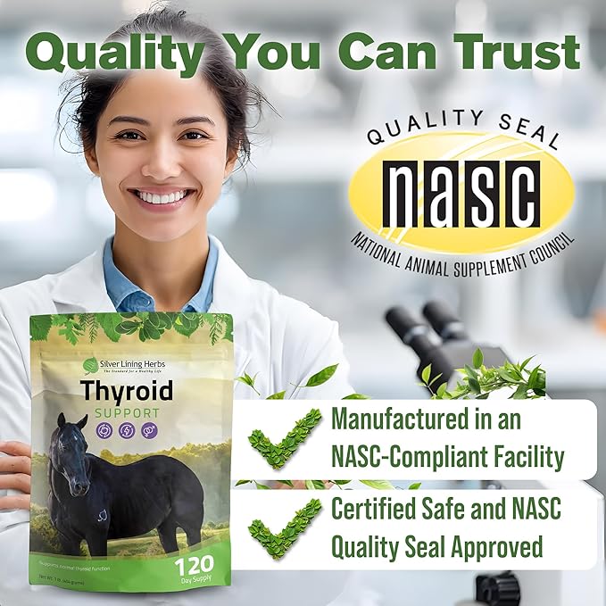 Silver Lining Herbs Thyroid Support for Horses – Herbal Horse Supplement for Normal Thyroid Function, Hormone Balance & Healthy Metabolism with Irish Moss, Kelp, Parsley – 120-Day Supply
