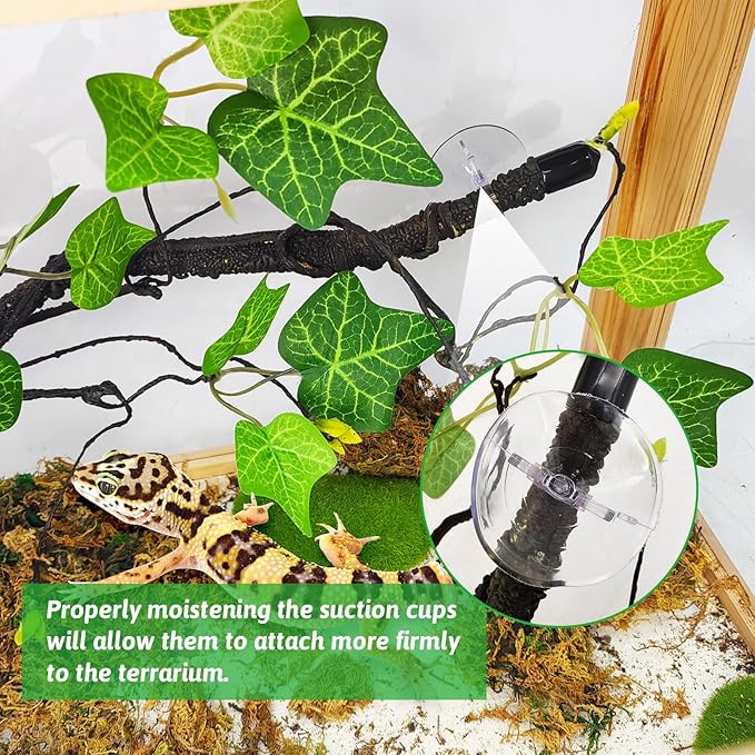 PINVNBY Reptile Corner Branch,2 PCS Flexible Jungle Climbing Vine with Suction Cup Terrarium Plant Decoration for Amphibian Dragons, Snake,Frogs, Chameleons（Green）