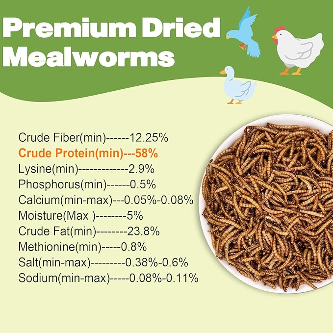 Dried Mealworms 2 LBS-100% Natural Non GMO High Protein Treat for Chicken & Wild Birds, Plus Small Pets
