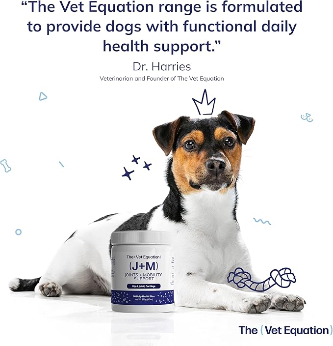 Joints & Mobility Support for Dogs – Duck-Flavored, 90 Chews – with Glucosamine, Chondroitin & Hyaluronic Acid – Supports Joint Health, Cartilage & Flexibility for Active Mobility