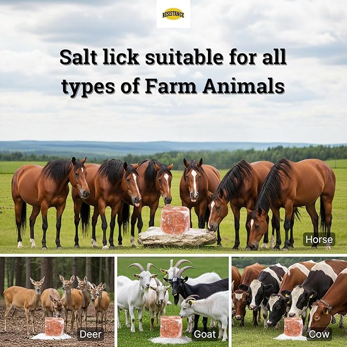 RESISTANCE Himalayan Salt Lick 2lb Block on Rope for Horses, Cattle, Deer, Goats, and Livestock – Pack of 2 Blocks