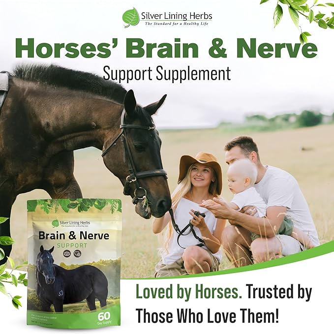 Silver Lining Herbs Brain & Nerve Support Supplement for Horses - Horse Supplements for Focus, Mental Health & Brain Support - Contains Herbal Blend of Ginkgo, Gotu Kola, & More - 1 lb 60-Day Supply