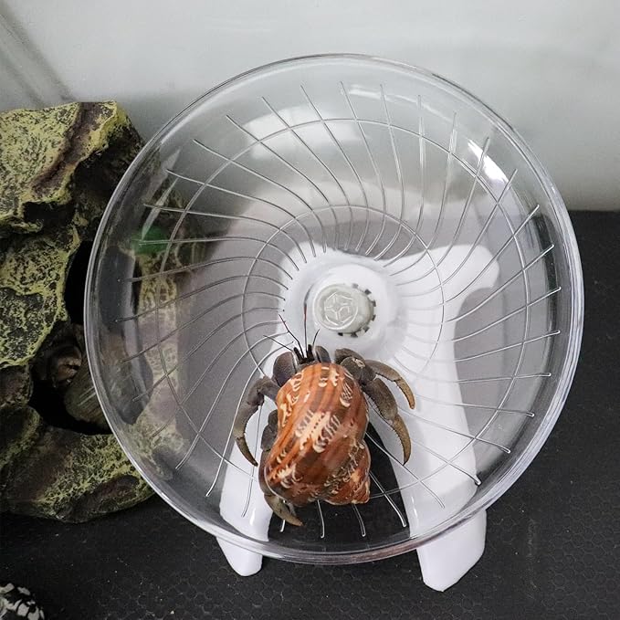 Hermit Crabs Wheel Toy, Hamster Running Wheel Toys, Small Animals Cage Accessory, Tank Accessory, Suitable for Hermit Crab Hamster Rat