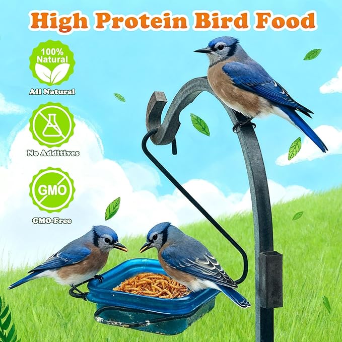 Amzey Dried Mealworms 1 LB, 100% Natural Meal Worms for Chicken & Birds, Organic Chicken Feed for Laying Hens, High Protein and Nutrition, Zipped Bag