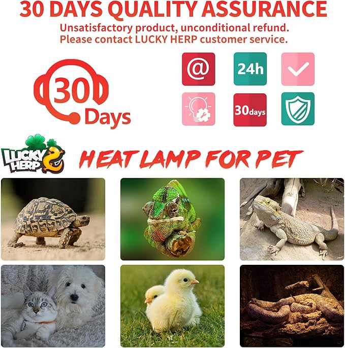 LUCKY HERP Reptile Heat Lamp - 75W Ceramic Heat Emitter Reptile Heat Lamp Bulbs (1 Pack), No Light Ceramic Heat Bulb, Heat Lamp for Reptiles Amphibian Chicken Pet Brooder Coop Lizard Turtle