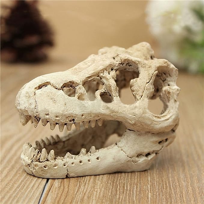 Desert Reptile Skull Fish Tank Decorations - Bearded Dragon Accessories, Snake Tank Decor (Human + Dinosaur)