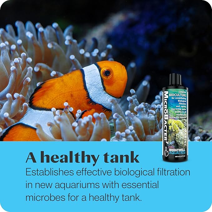 Brightwell Aquatics MicroBacter7 Complete Bioculture for Fish Tank or Aquarium - Populates Biological Filter Media for Saltwater and Freshwater Fish - Aquarium Water Treatments, 135.25 fl oz