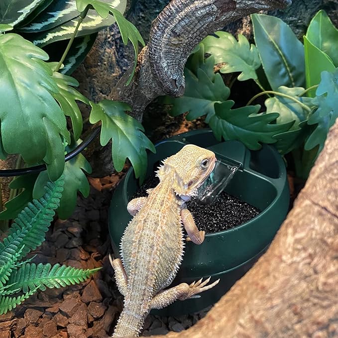 Reptile Chameleon Cantina with Snacks Trough, Drinking Fountain Water Dripper for Amphibians Insects Lizard Turtle Snake Spider Frog Gecko, Comes with Two Pumps (One for Replacement)