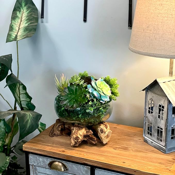 Molten Glass Bowl on Driftwood, 10 Inch Low Wide Hand Blown Decorative Bowl, Unique Natural Wood and Glass Sculpture, Table Centerpiece, Planter or Terrarium, Driftwood and Glass Bowl Decor for Home