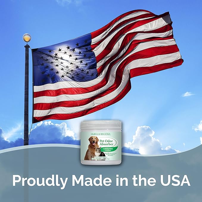 SMELLS BEGONE Air Freshener Odor Absorber Gel - 15 oz, Pack of 2 - Absorbs and Eliminates Odor in Pet Areas, Bathrooms, Cars, & Boats - Made with Essential Oils - Calming Rain Scent