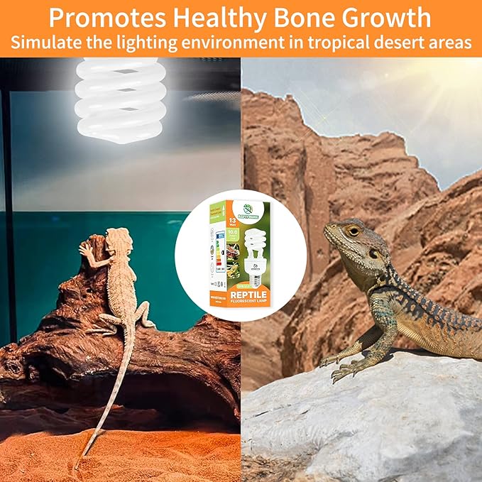 UVB Reptile Light 10.0, 13W Desert UVA UVB Bulb for Reptiles, Compact Desert Terrarium Lamp, Reptile UVB Light Bulb for Bearded Dragon, Lizard, Tortoise, Snake, Gecko
