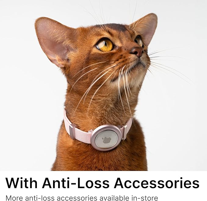 Safety Cat Collar Pro - U.S. IDA Gold Awarding Design, Elastic Quick Release Cat Collar with Buckle Non Breakaway - Lightweight for Kitten All Small Large Cats (Glacier Silver, S 5.9-11.8")