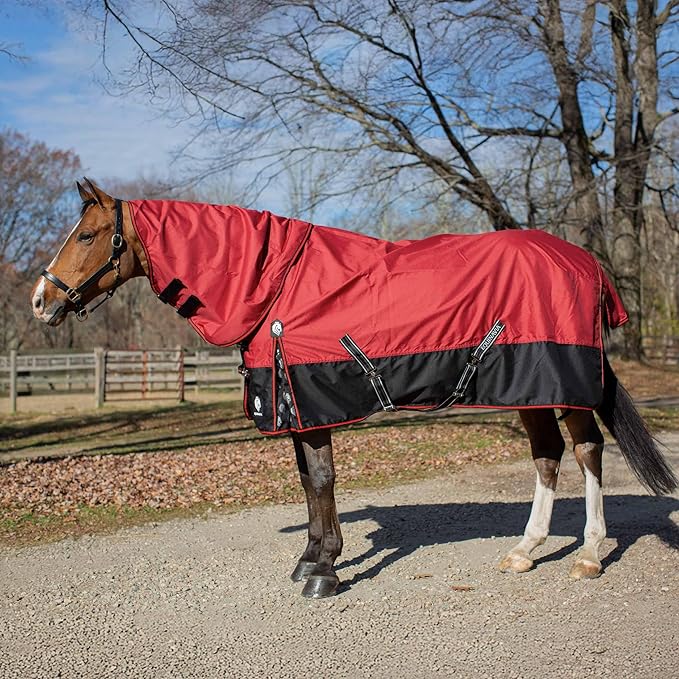 Equinavia Norse Lightweight 100g Fill Horse Rain Blanket | Waterproof Turnout Sheet - Black - 66 in - Equestrian Red - 69 in