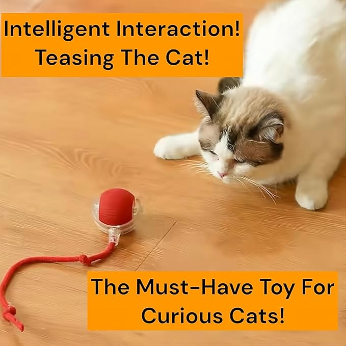 Interactive Electric Automatic Rolling Moving Rechargeable Self Play Stimulation Toy,Smart Pet Chase with Speedy Tail Rope for Bored Indoor Cats (Yellow)