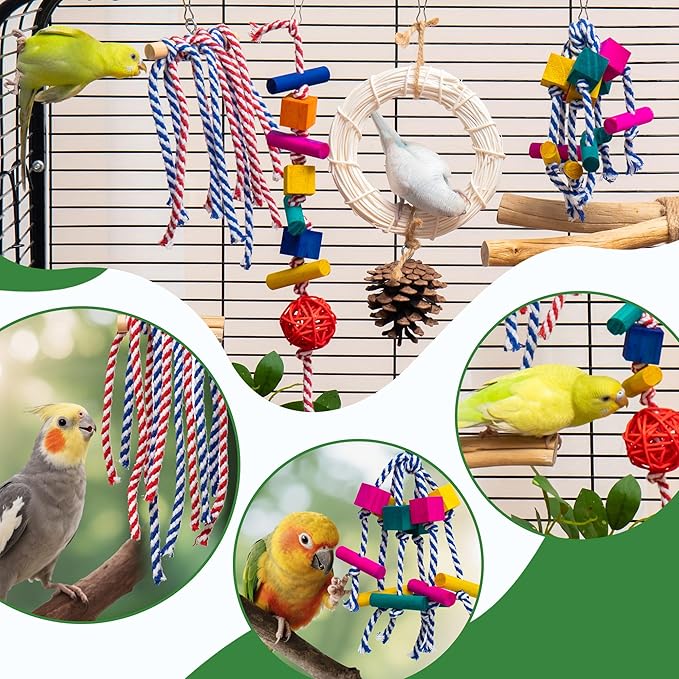 4-in-1 Bird Chew Toys - Colorful Ropes & Wood Blocks for Foraging Fun - Small Parrot Cage Toys for Conures, Lovebirds (30-Day Play Guarantee)