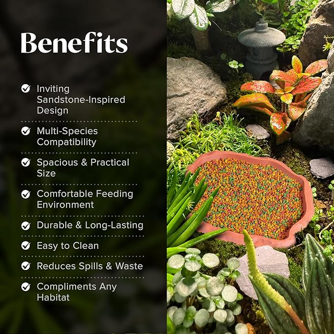 Gecko Cave Reptile Feeding Tray – Naturalistic Pet Dish for Lizards, Snakes, Bearded Dragons, Tortoises & Turtles - Terracotta