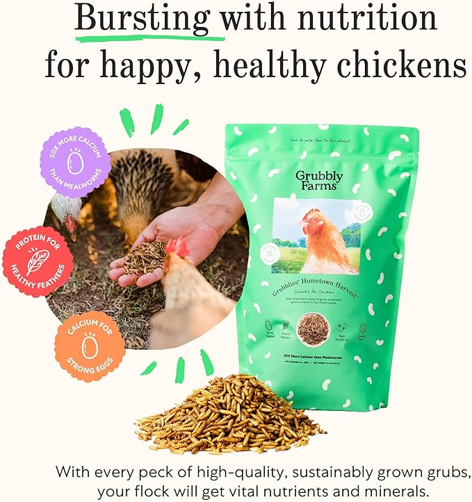 Grubbly Farms Grubblies - Black Soldier Fly Larvae for Chickens - Chicken Treats Grown in The US and Canada - for Strong Eggshells and Healthy Feathers - Grubblies Hometown Harvest 1LB