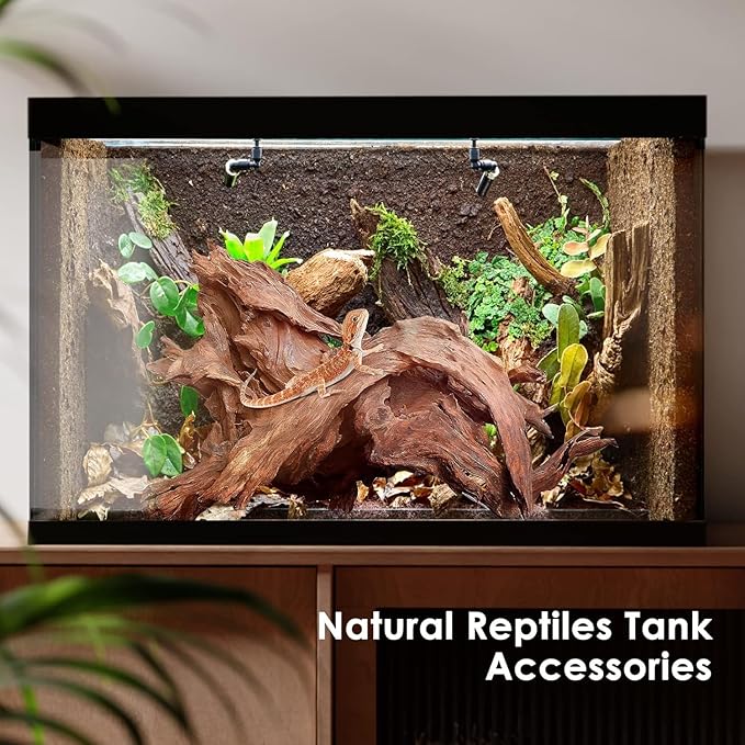 Jorewood Natural Aquarium Driftwood for Fish Tanks & Reptile Terrariums – Safe Fish Tank Decorations, Unique Twisted Branches 3-Piece 7-11 Inch Low Tannin, Easy to Sink
