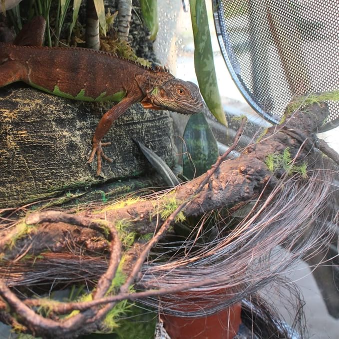 BNOSDM Reptile Bend-A-Branch Vines with Moss,Bendable Reptile Jungle Vines,Bearded Dragon Climbing Plants Tank Accessories,Pet Habitat Decor for Chameleon Geckos Snakes Lizards Frogs