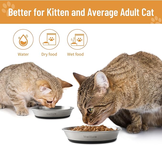 Cat Bowls, 2 Pcs Stainless Steel Cat Bowls for Food and Water, Whisker Fatigue Shallow Non-Slip Dishes Plates for Small Dog Puppies Cats