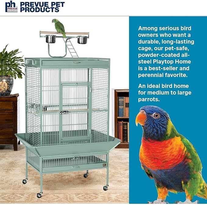 Suburban Sophistication Playtop Bird Home with Spacious Design, Durable Materials, Removable Perches Medium/Sage Green