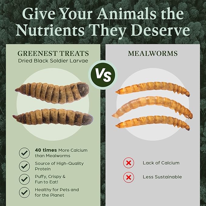 Dried Black Soldier Fly Larvae Chicken Bulk - for Hens, Duck, Wild Birds, Lizard, Tortoise, Fish - All Natural High Protein Dried Mealworms Alternative - Made in North America