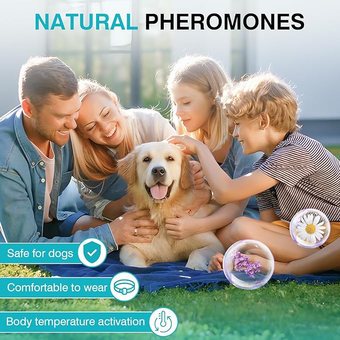 Calming Collar for Dogs 6 Packs Dog Calming Pheromones Collar Separation Anxiety and Stress Relief Anti Anxiety 60 Days Calm Pheromone Collars for Small Medium Large Dogs 25 Inch Adjustable Waterproof
