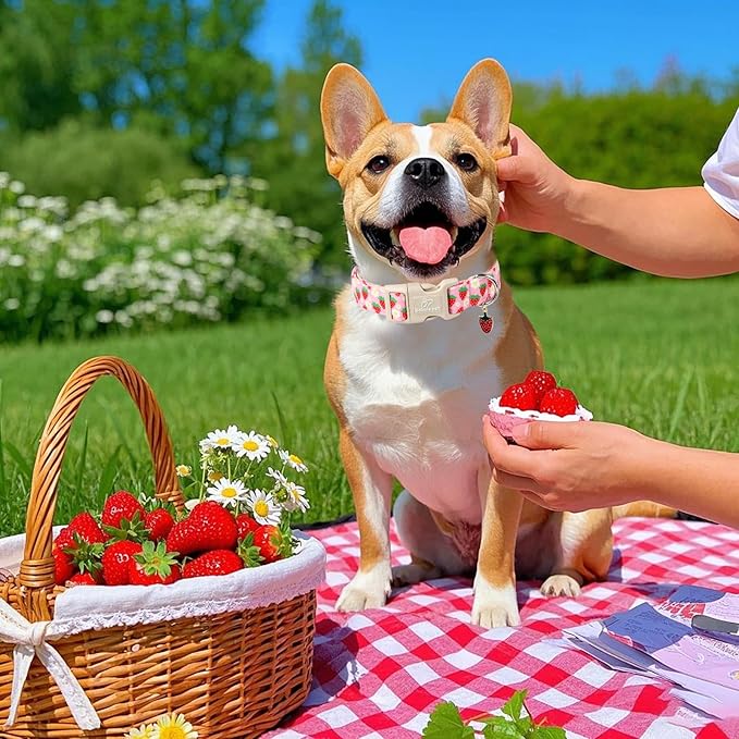 Cute Spring/Summer Dog Collar, Adjustable Pink Strawberry Dog Collars for Puppy Small Dogs, Lightweight Quick-Release Buckle Collar for Boy&Girl Dogs XS