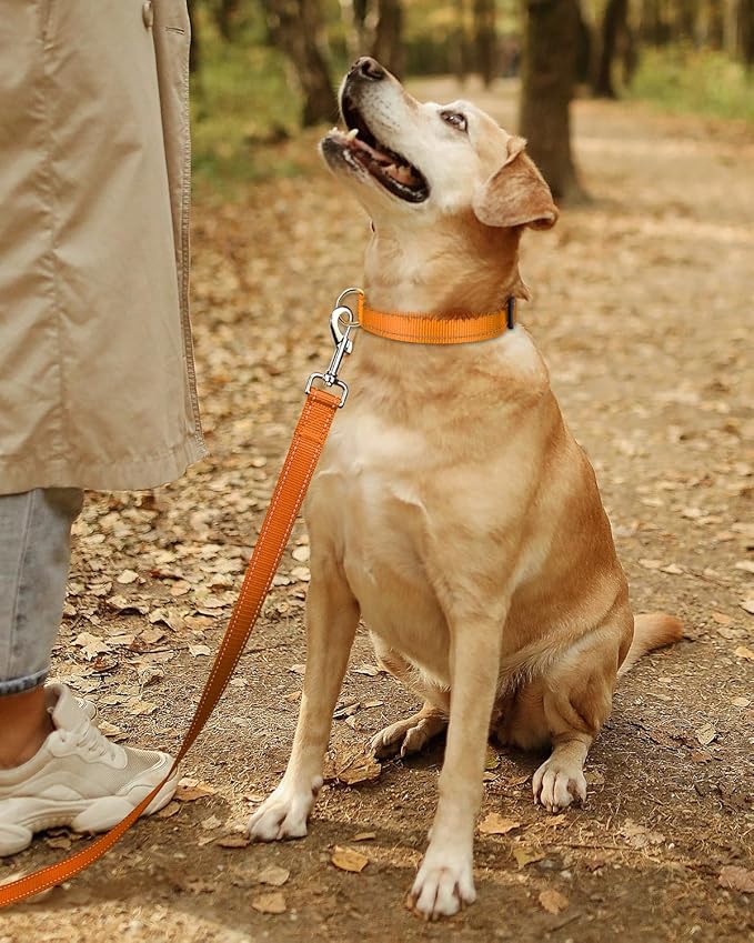 TagME Reflective Nylon Dog Collars, Adjustable Classic Pet Collar with Quick Release Buckle for Puppy, Orange, 3/8" Width