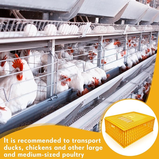 Sintuff 6 Pcs Poultry Carrier Crate Plastic Chicken Transport Cage Bird Carriers Chickens Carrier Travel Crate Basket Box for Poultry Chicken Bird Duck Goose, 29.5 x 21.7 x 11.6 Inch