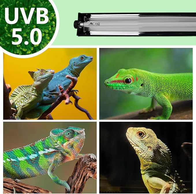 T5 UVB Lighting Combo Kit for Reptiles,8W Light Fixture with Desert 5.0 T5 UVB Light Bulbs Terrarium Hood Heat Lamp for Breaded Dragon,Turtle,Frog,Lizard,Tortoise,Gecko,Snake