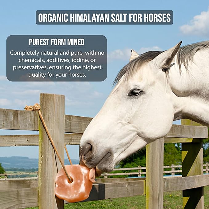 Animal Himalayan Salt Lick on Rope for Horses, Deer, Rabbits, Cows and Other Livestock | Lick Salt for Deer | Digestive Aid for Animals | Horse Treats (Horse-6LB)