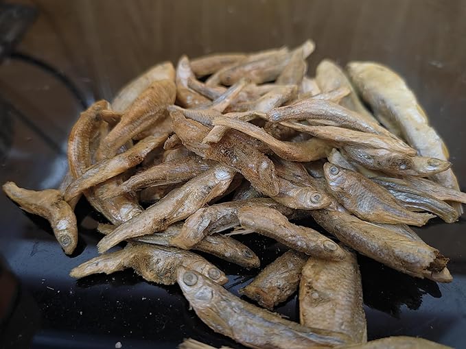 Minnows 4 oz Freeze Dried Minnows, 100% Natural Cat & Dog Treat