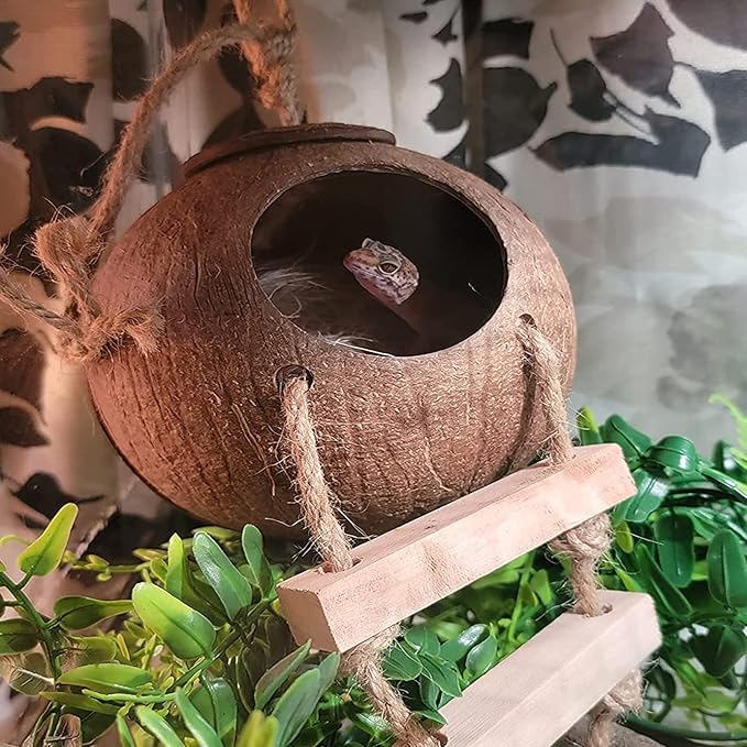Lizard Coco Den with Ladder,Leopard Gecko Coconut Husk Hut Hideout Home Reptile Hammock Climbing Hanging Plants Decor Habitat Tank Accessories for Bearded Dragon Snake Chameleon